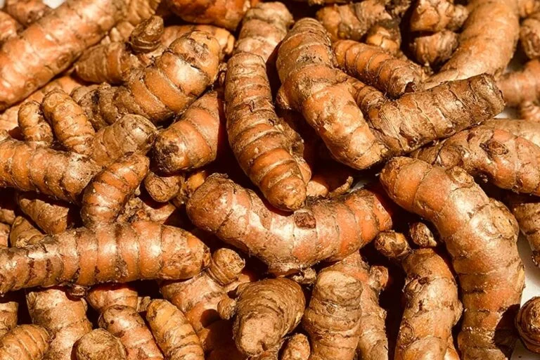 Turmeric