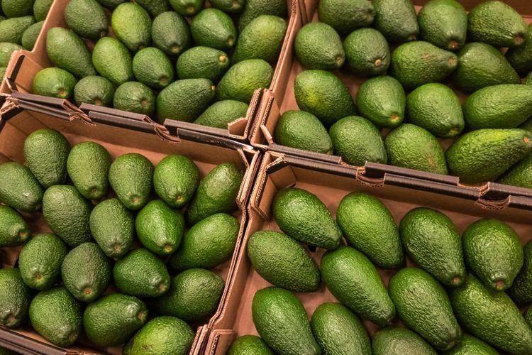 Avocados