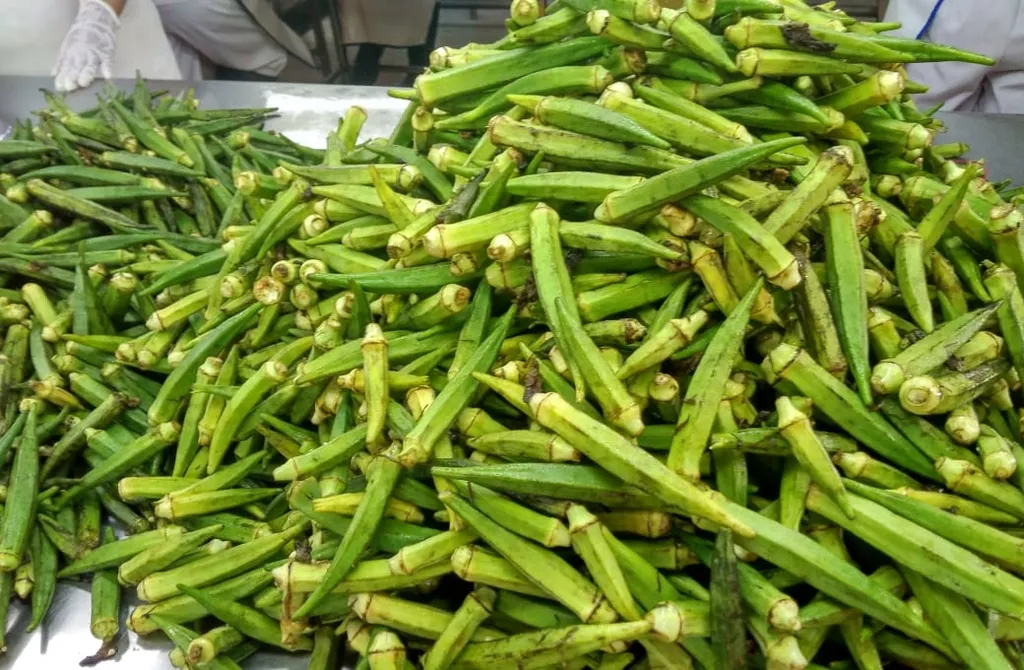 Okra